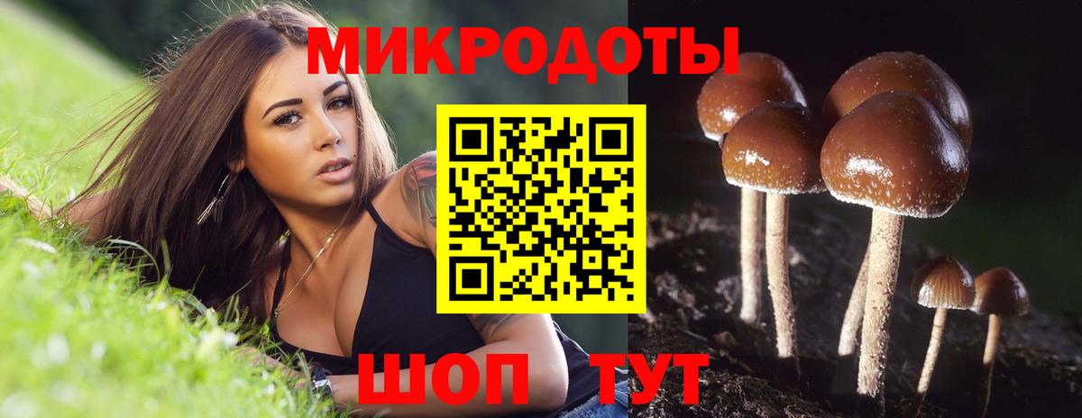 Галлюциногенные грибы мицелий  Галлюциногенные грибы Magic Shrooms  Вход с VPN  Волгодонск 